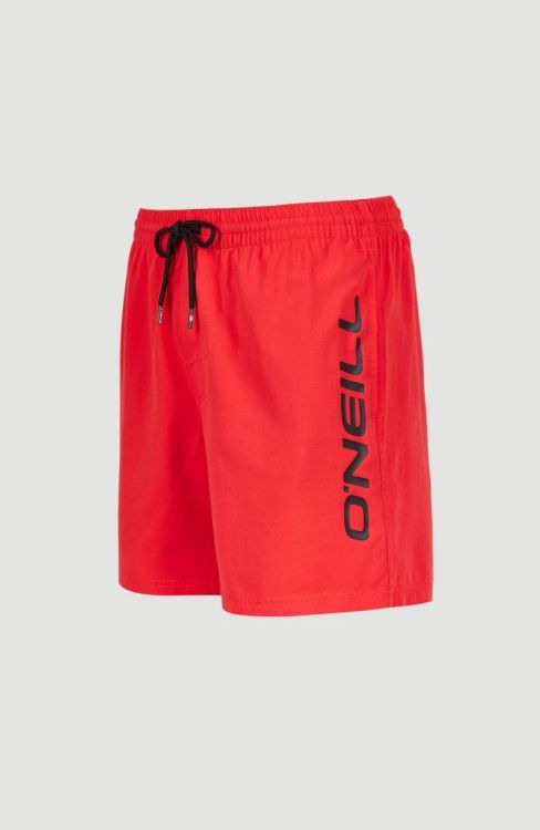 O'neill Cali Shorts (N03202) - Bluesand New&Outlet 