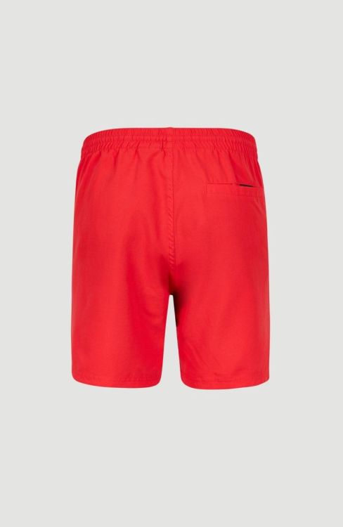 O'neill Cali Shorts (N03202) - Bluesand New&Outlet 