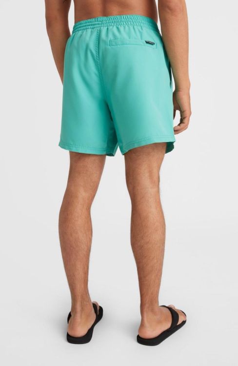 O'neill CALI STATE 15'' SWIM SHORTS (2800077) - Bluesand New&Outlet 