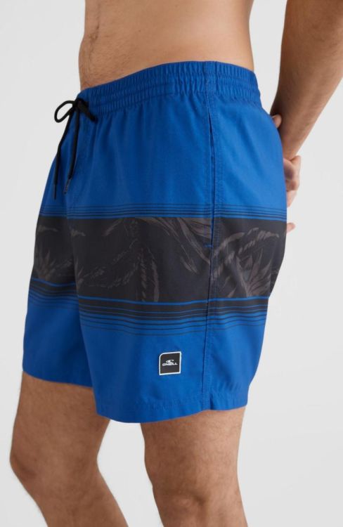 O'neill CALI STRIPE SHORTS (2800039) - Bluesand New&Outlet 