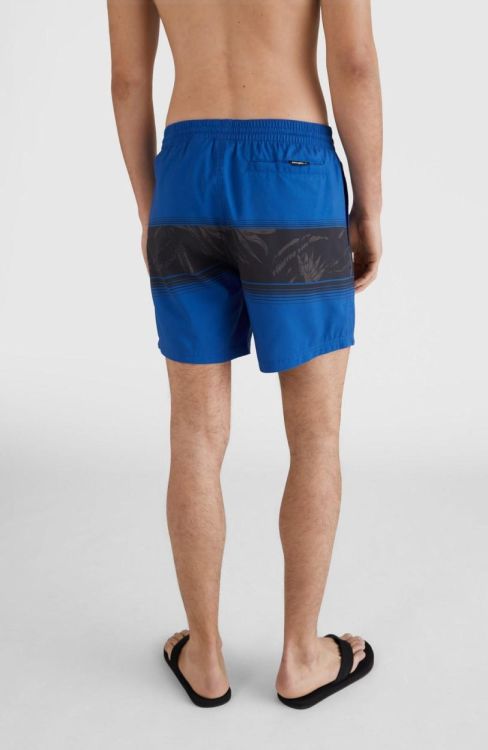 O'neill CALI STRIPE SHORTS (2800039) - Bluesand New&Outlet 