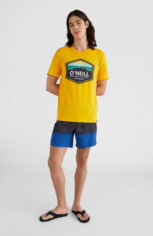 O'neill CALI STRIPE SHORTS (2800039) - Bluesand New&Outlet 