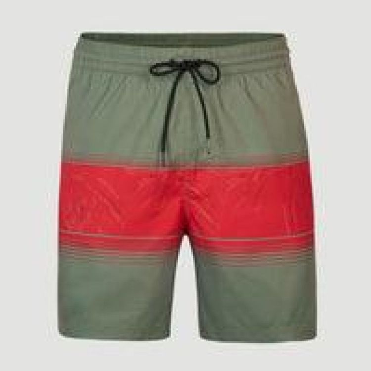 O'neill CALI STRIPE SHORTS (2800039) - Bluesand New&Outlet 