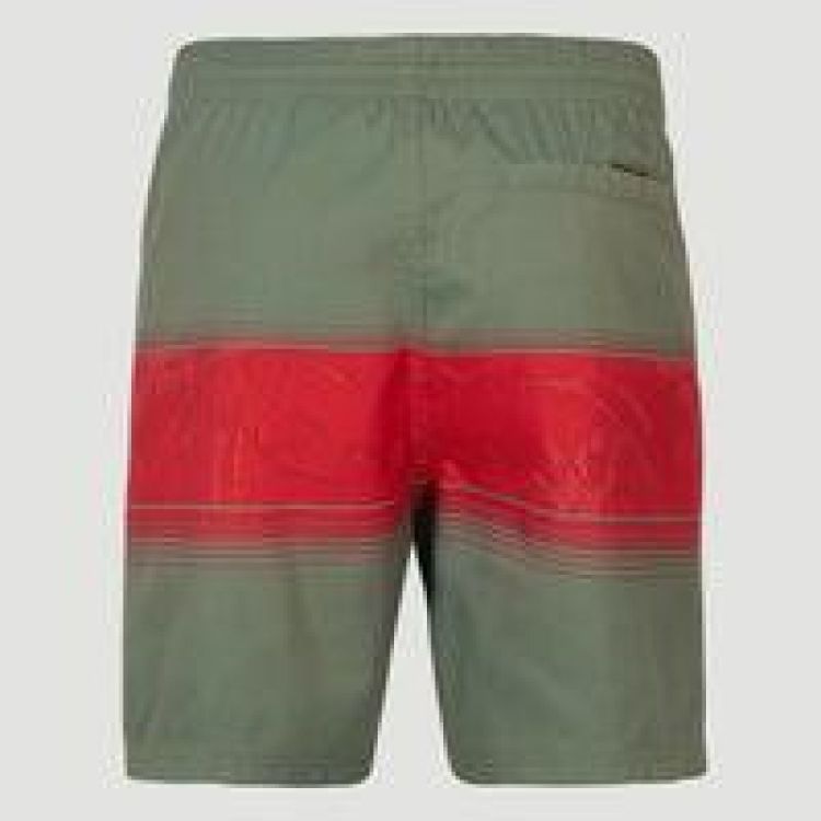 O'neill CALI STRIPE SHORTS (2800039) - Bluesand New&Outlet 