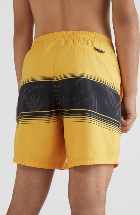 O'neill CALI STRIPE SHORTS (2800039) - Bluesand New&Outlet 