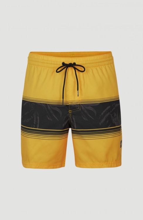 O'neill CALI STRIPE SHORTS (2800039) - Bluesand New&Outlet 