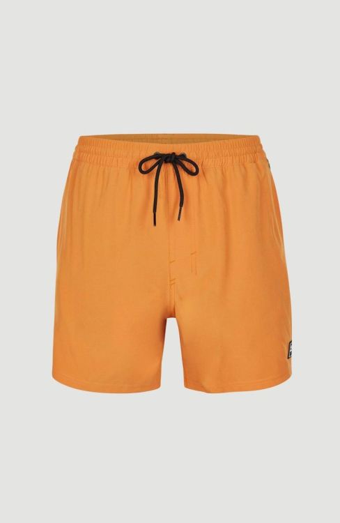 O'neill CALI TAPE 15'' SWIM SHORTS (2800090) - Bluesand New&Outlet 