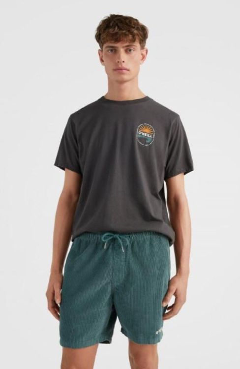 O'neill CAMORRO CORD SHORT (2700027) - Bluesand New&Outlet 