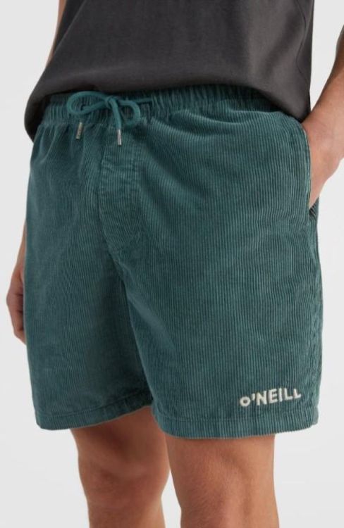 O'neill CAMORRO CORD SHORT (2700027) - Bluesand New&Outlet 