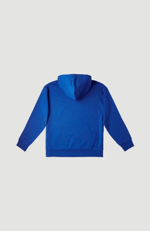 O'neill CHECKER HOODIE (4750028) - Bluesand New&Outlet 