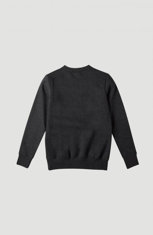 O'neill Circle Surfer Crew Sweat (1P1484) - Bluesand New&Outlet 