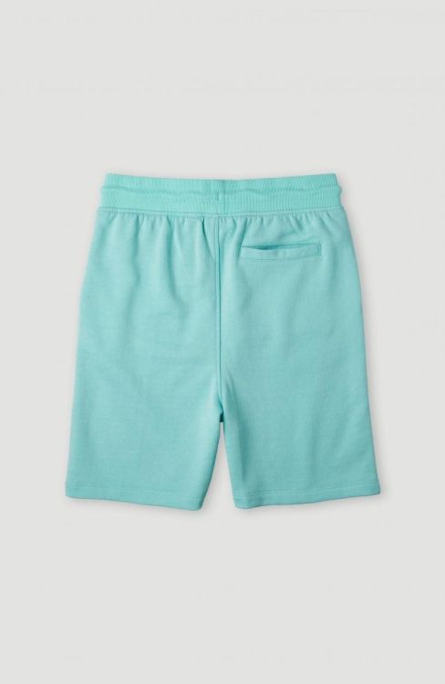 O'neill CIRCLE SURFER JOGGER SHORTS (4700003) - Bluesand New&Outlet 