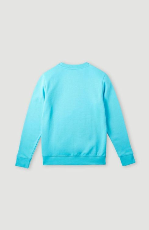 O'neill CIRCLE SURFER SWEATSHIRT (4750026) - Bluesand New&Outlet 