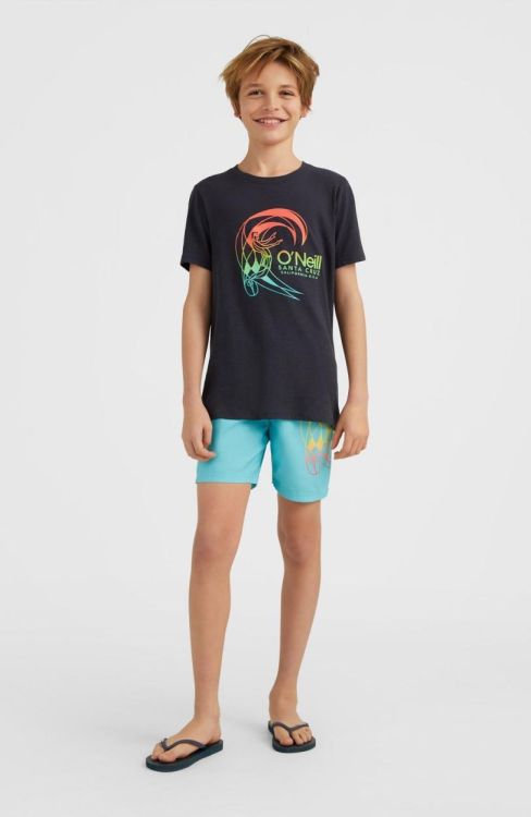 O'neill CIRCLE SURFER T-SHIRT (4850041) - Bluesand New&Outlet 