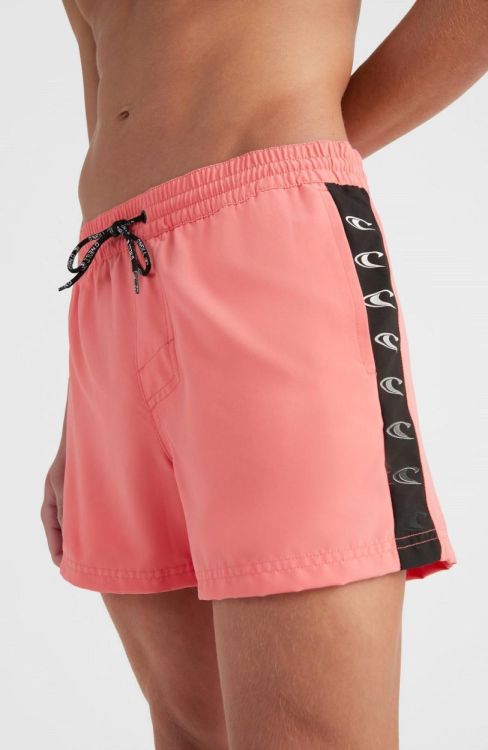 O'neill COAST 14'' SWIM SHORTS (2800081) - Bluesand New&Outlet 