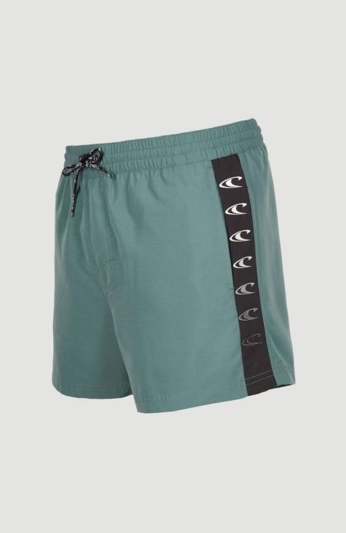 O'neill COAST 14'' SWIM SHORTS (2800081) - Bluesand New&Outlet 