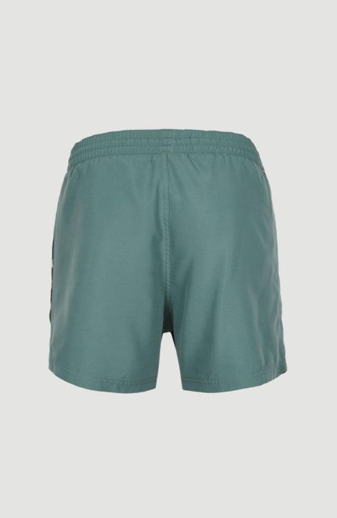 O'neill COAST 14'' SWIM SHORTS (2800081) - Bluesand New&Outlet 