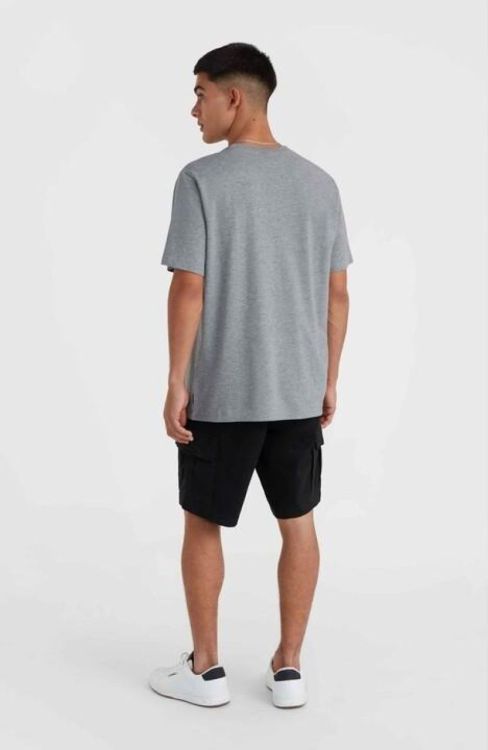 O'neill ESSENTIALS CARGO SHORTS (2700071) - Bluesand New&Outlet 