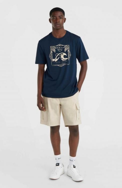 O'neill ESSENTIALS CARGO SHORTS (2700071) - Bluesand New&Outlet 