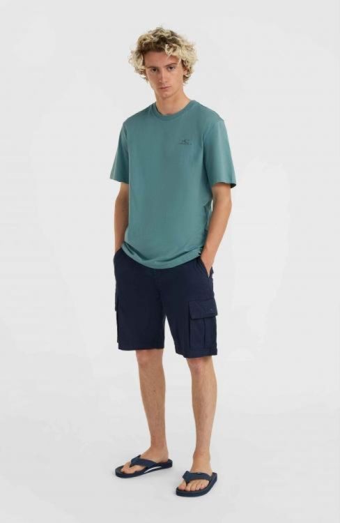 O'neill ESSENTIALS CARGO SHORTS (2700071) - Bluesand New&Outlet 