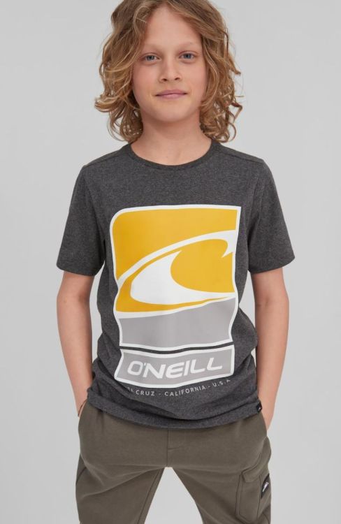 O'neill Flag Wave Ss T-Shirt (1P2374) - Bluesand New&Outlet 