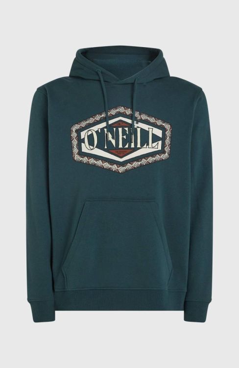 O'neill O'NEILL FRONT PRINT HOODIE (2750153) - Bluesand New&Outlet 