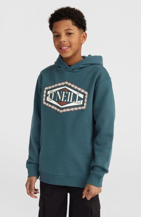 O'neill O'NEILL FRONT PRINT HOODIE (4750061) - Bluesand New&Outlet 