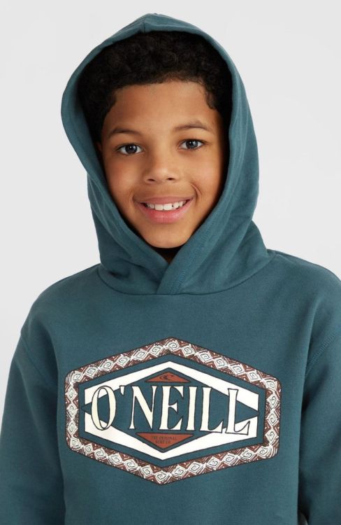 O'neill O'NEILL FRONT PRINT HOODIE (4750061) - Bluesand New&Outlet 