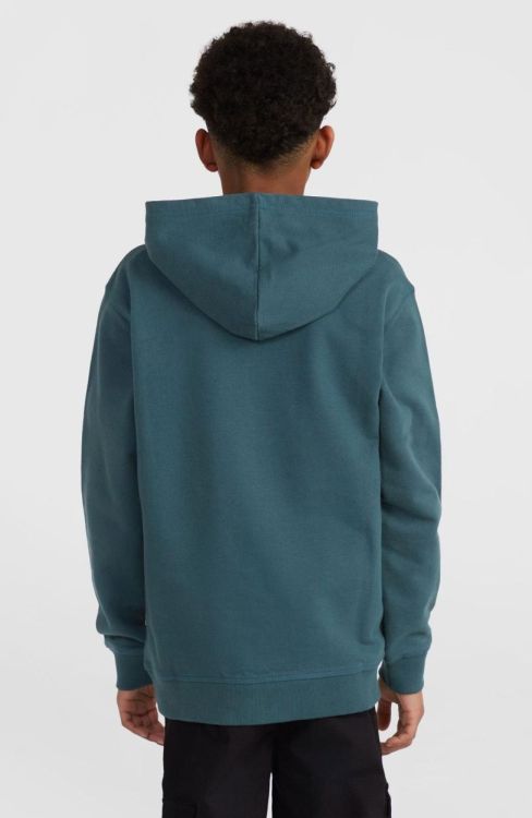 O'neill O'NEILL FRONT PRINT HOODIE (4750061) - Bluesand New&Outlet 