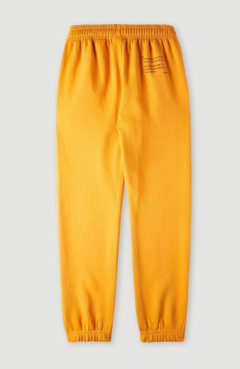 O'neill FUTURE SURF JOGGER PANTS (3550018) - Bluesand New&Outlet 