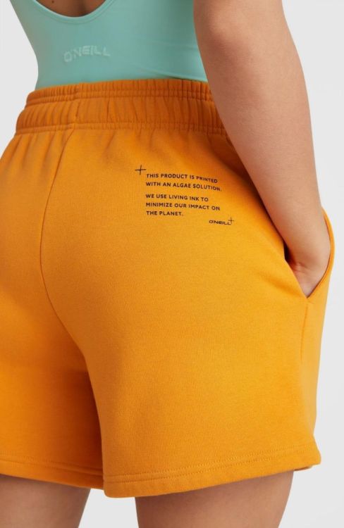 O'neill FUTURE SURF JOGGER SHORTS (1700035) - Bluesand New&Outlet 