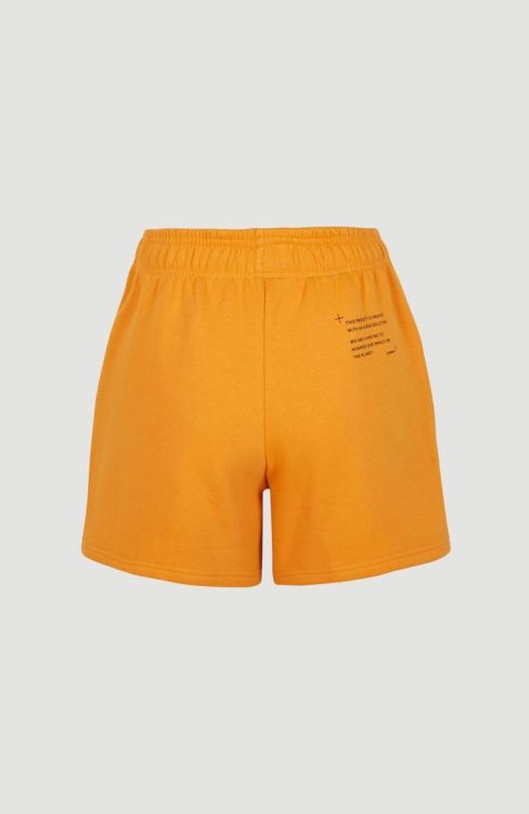 O'neill FUTURE SURF JOGGER SHORTS (1700035) - Bluesand New&Outlet 