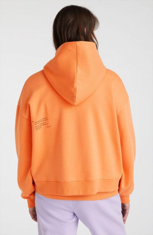 O'neill FUTURE SURF SOCIETY HOODIE (1750069) - Bluesand New&Outlet 