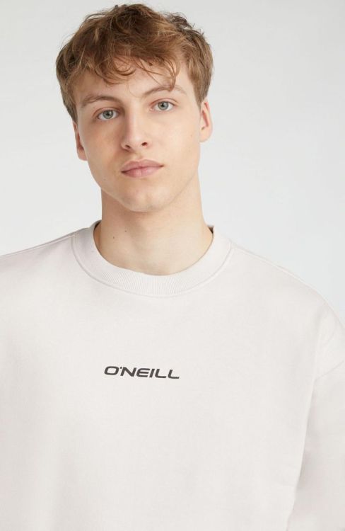 O'neill FUTURE SURF SOCIETY SWEATSHIRT (2750076) - Bluesand New&Outlet 