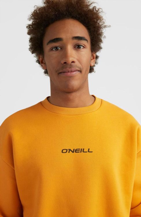 O'neill FUTURE SURF SWEATSHIRT (2750048) - Bluesand New&Outlet 