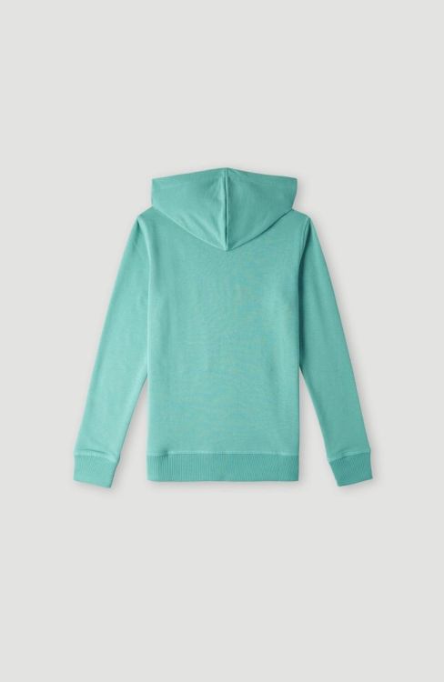 O'neill O'NEILL HOODIE (N4750004) - Bluesand New&Outlet 