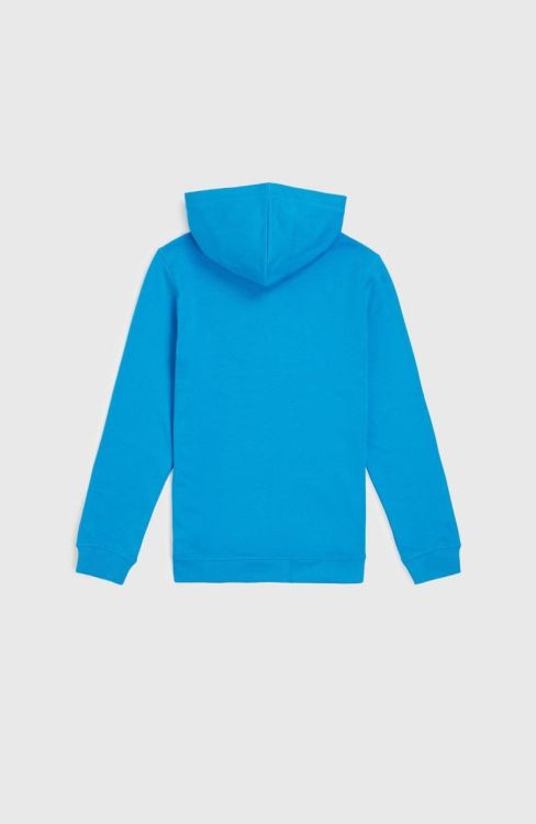 O'neill O'NEILL LOGO HOODIE (4750066) - Bluesand New&Outlet 