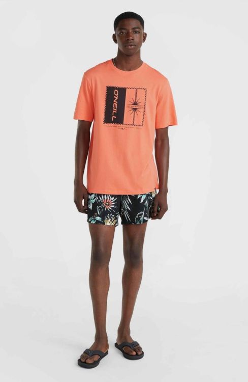 O'neill MIX & MATCH CALI PRINT 15'' SWIM SHORTS (2800131) - Bluesand New&Outlet 