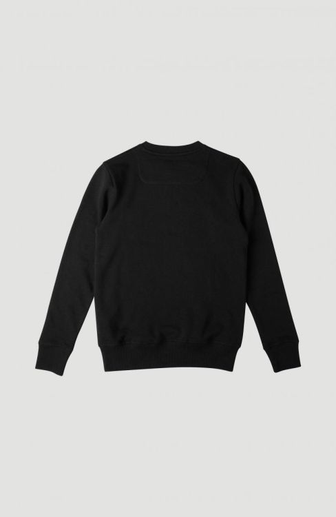 O'neill O'Neill Crew Sweatshirt (N01480) - Bluesand New&Outlet 