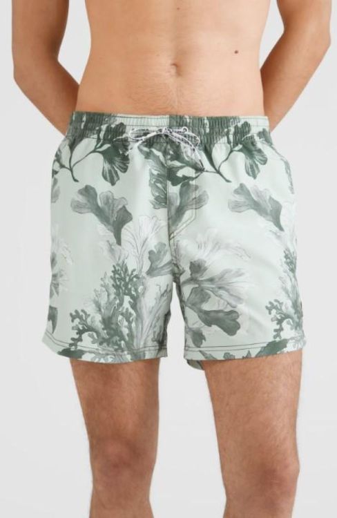 O'neill ORIGIN OYSTER SHORTS (2800014) - Bluesand New&Outlet 