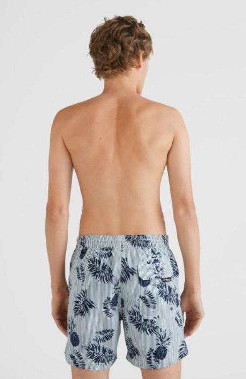 O'neill PINEAPPLE SEERSUCKER SHORTS (2800020) - Bluesand New&Outlet 