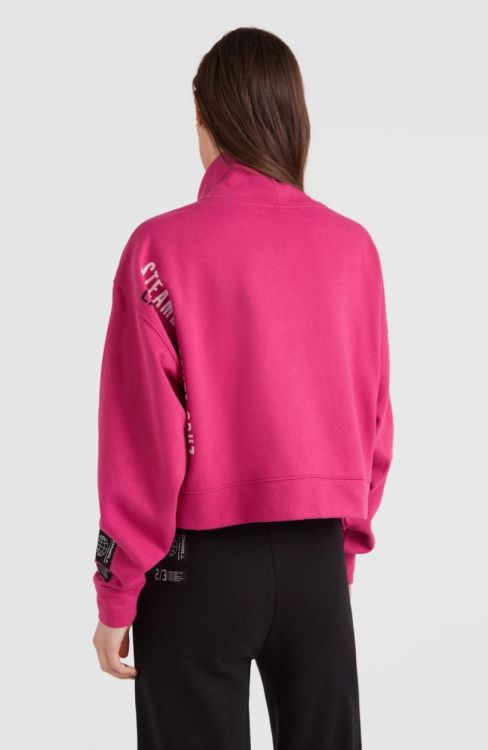 O'neill PROGRESSIVE MOCK NECK SWEAT (1750029) - Bluesand New&Outlet 