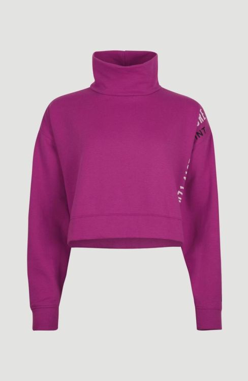 O'neill PROGRESSIVE MOCK NECK SWEAT (1750029) - Bluesand New&Outlet 