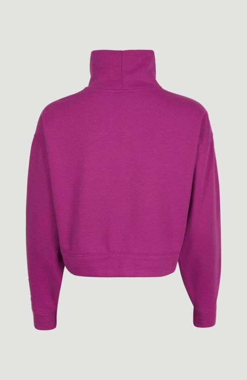 O'neill PROGRESSIVE MOCK NECK SWEAT (1750029) - Bluesand New&Outlet 
