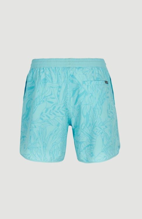 O'neill SCALLOP OCEAN 16'' SWIM SHORTS (2800084) - Bluesand New&Outlet 