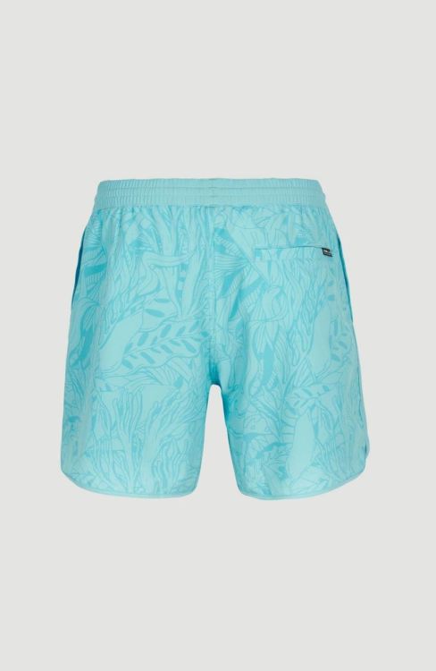 O'neill SCALLOP OCEAN 16'' SWIM SHORTS (2800084) - Bluesand New&Outlet 