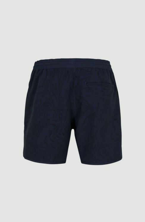 O'neill SCALLOP OCEAN 16'' SWIM SHORTS (2800084) - Bluesand New&Outlet 