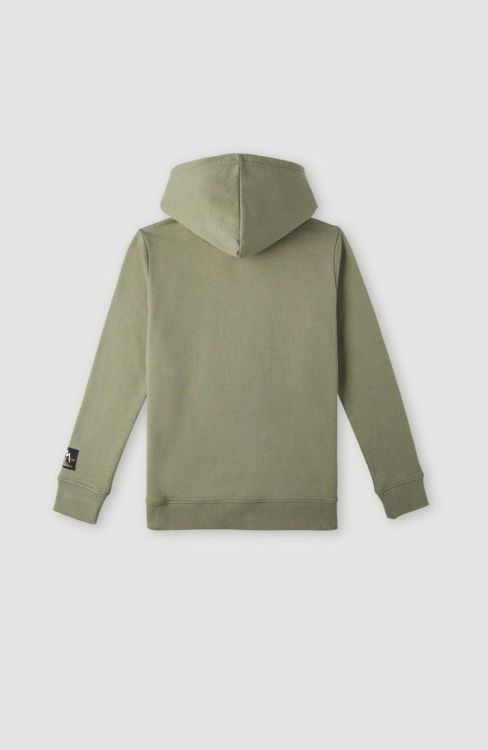 O'neill SEAVIEW HOODIE (4750037) - Bluesand New&Outlet 