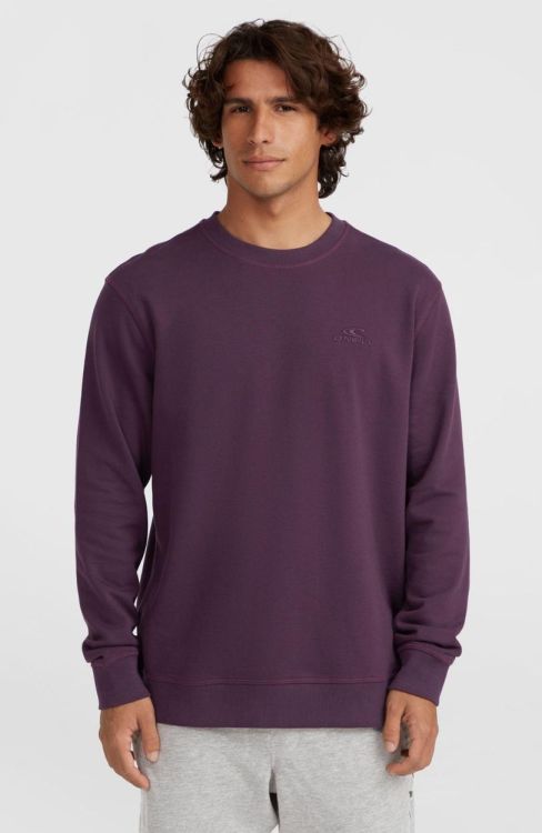 O'neill O'NEILL SMALL LOGO CREW (2750131) - Bluesand New&Outlet 