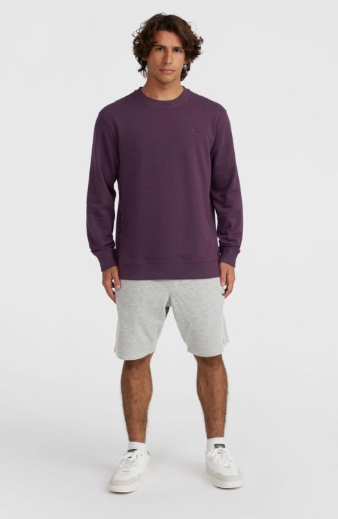 O'neill O'NEILL SMALL LOGO CREW (2750131) - Bluesand New&Outlet 